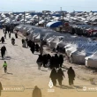 الأعرجي: 24 دولة من أصل 60 بدأت بإعادة مواطنيها من مخيم الهول في سوريا