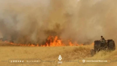 الإدارة الذاتية تكشف حجم الأراضي المتضررة إثر الحرائق شمال شرقي سوريا