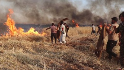الحرائق تلتهم أكثر من 300 دونم من المحاصيل الحقلية والأشجار المثمرة في درعا
