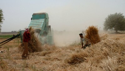 الصراع على قمح الجزيرة بين النظام وقسد