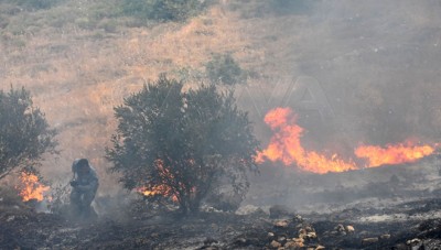 ما حقيقة الفيديو المتداول لعناصر من النظام يضرمون النيران في الساحل