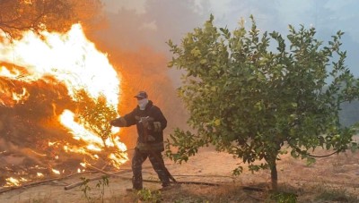 تجار دمشق يتبرعون بمئات ملايين الليرات لمتضرري الحرائق في المنطقة الساحلية &#34; قائمة بالأسماء والتبرعات&#34;