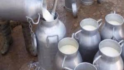 سعر كيلو الحليب يرتفع بنحو 100 ليرة
