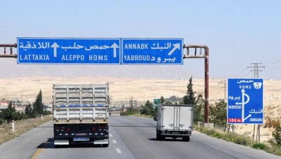 النظام يزيل اشجار نخيل تعود لعشرات السنين من طريق حمص دمشق
