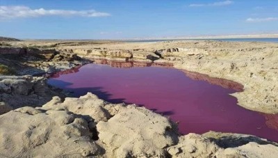 ما سر ظاهرة المياه الحمراء في منطقة البحر الميت في الاردن ؟ ...خبير يفسر