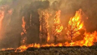  الحرارة إلى ارتفاع ومؤشرات خطورة حرائق الغابات عالية في سوريا