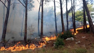 تحذيرات من اندلاع حرائق في غابات شمال غرب سوريا