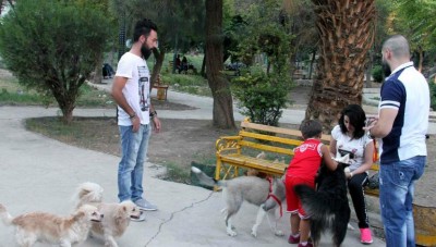 حكومة النظام تصدر قراراً لتسجيل الكلاب الخاصة