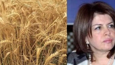 وزيرة سابقة تدعو النظام إلى تسعير القمح وفق الأسعار العالمية 