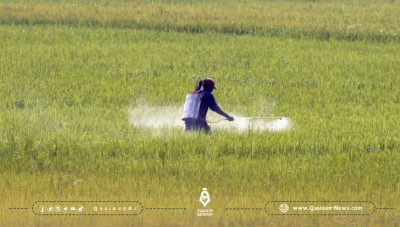 النظام يعترف بعدم القدرة على تأمين الأسمدة والبذور والوقود للمزارعين
