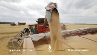 لروسيا... نظام الأسد هو المسؤول عن تسويق القمح الأوكراني المسروق