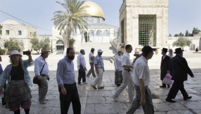 ساحات الأقصى... تشهد اقتحاماً