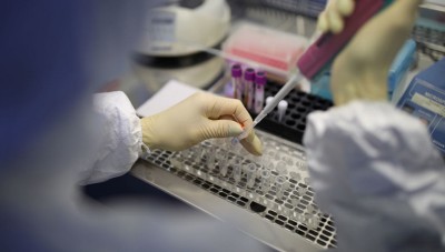 ألمانيا تدعو الصين لتقديم العون فى تحديد أصل فيروس كورونا