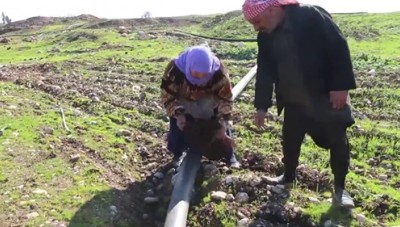 "شيلو محمد عريس".. أم تجمع أشلاء ابنها في ريف حلب الغربي (فيديو)