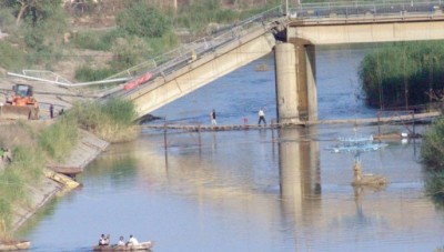 عشرون إصابة بداء الكلب في دير الزور والحكومة لا تستجيب