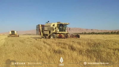 فلاحو درعا يطالبون بتسريع تسليم محصول القمح لحمايته من الحرائق
