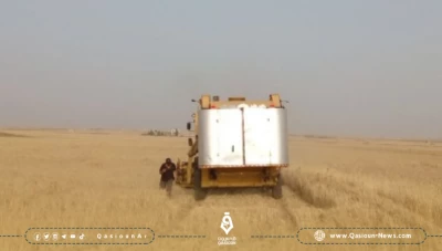 فلاحو ريف درعا يسارعون في حصاد محاصيلهم