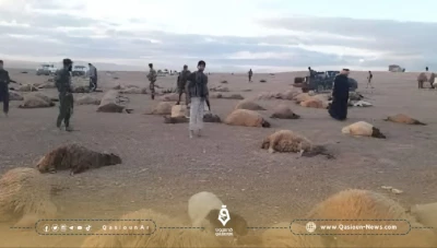 مقتل شخص وإصابة اثنين في هجوم لميليشيات إيرانية على رعاة أغنام بالرقة