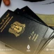 إقبال على جوازات السفر في مناطق سيطرة النظام