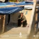 مجموعة العمل من أجل فلسطيني سوريا: الأوضاع الإنسانية لللاجئين الفلسطينيين في لبنان غير قابلة للتحمل