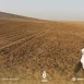 تقرير أممي يحذر من التهديدات المتزايدة لتغيير المناخ في سوريا
