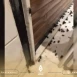 الخنافس تغزو شوارع دمشق والسبب..؟