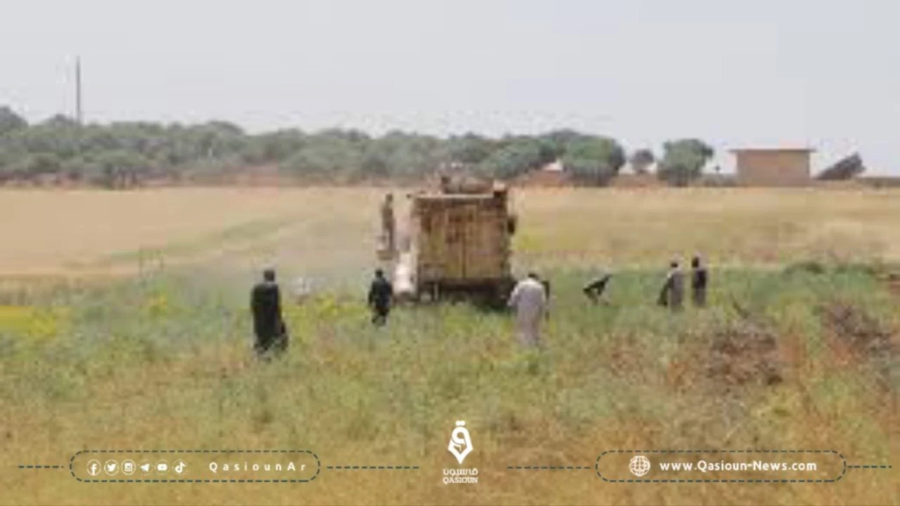 تضرر محصول الكمون جراء هطول الأمطار في ريف حلب