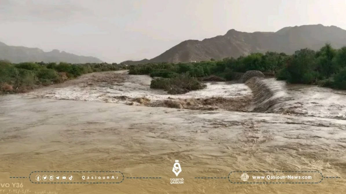 حكومة اليمن تطلق