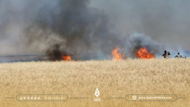 احتراق عشرات الدونمات من محصول القمح في ريف درعا