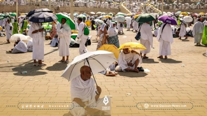 تقارير توثق أعداد وفيات الحجاج هذا الموسم وجنسياتهم